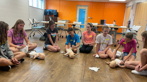 Babysitting Training Course